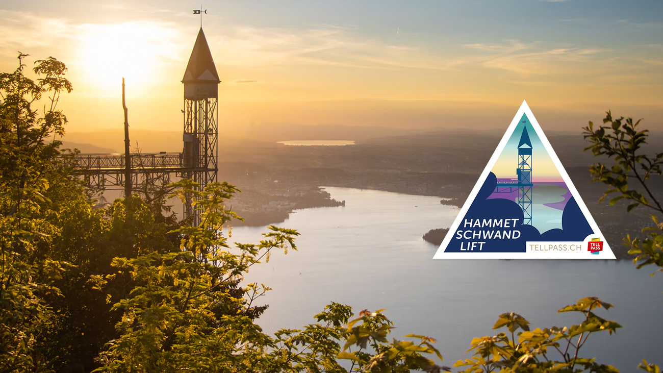 unterlagen_tellpass_kampagne_2024 Transportunternehmungen Zentralschweiz